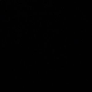 Meet your Posher, Ava